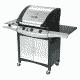 Charbroil 463243904 Terrace