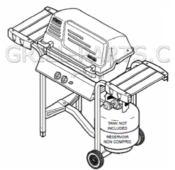 Fiesta EH24027-LP