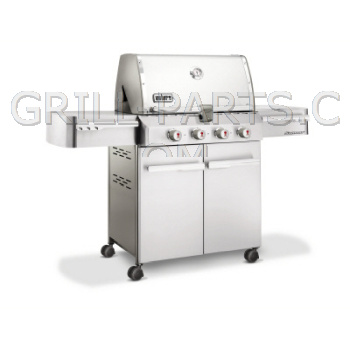 Weber 1710001